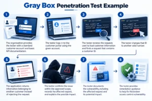 Gray Box Penetration Test Example