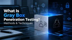 Gray Box Penetration Testing